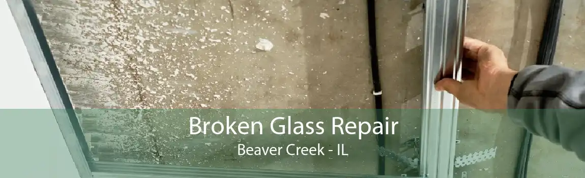 Broken Glass Repair Beaver Creek - IL