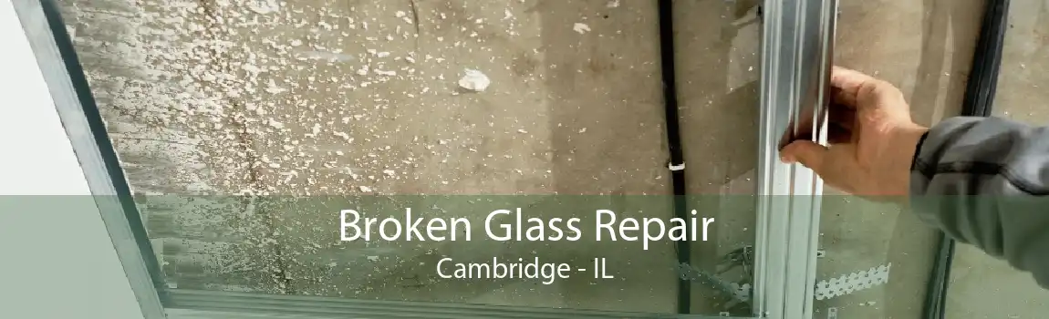 Broken Glass Repair Cambridge - IL