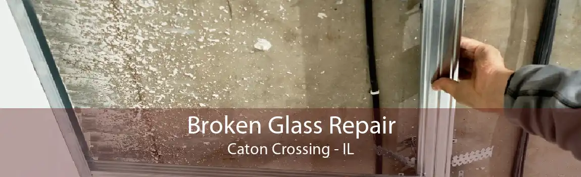 Broken Glass Repair Caton Crossing - IL