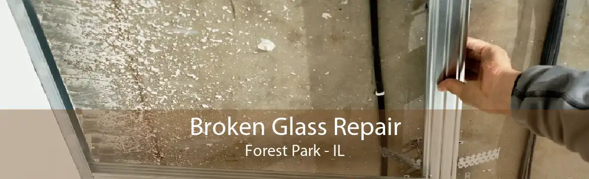 Broken Glass Repair Forest Park - IL