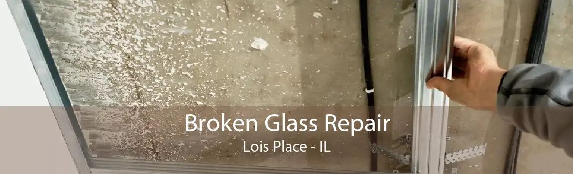 Broken Glass Repair Lois Place - IL