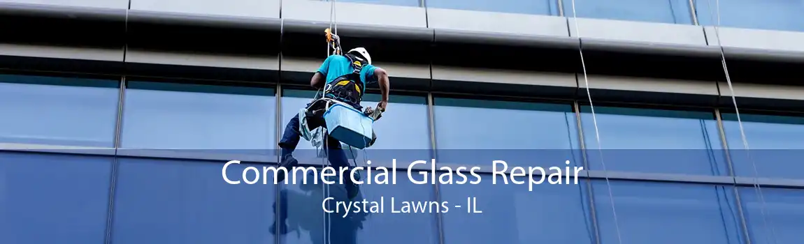 Commercial Glass Repair Crystal Lawns - IL