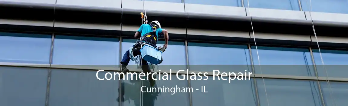 Commercial Glass Repair Cunningham - IL