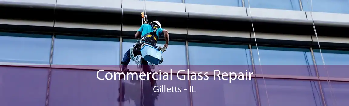 Commercial Glass Repair Gilletts - IL