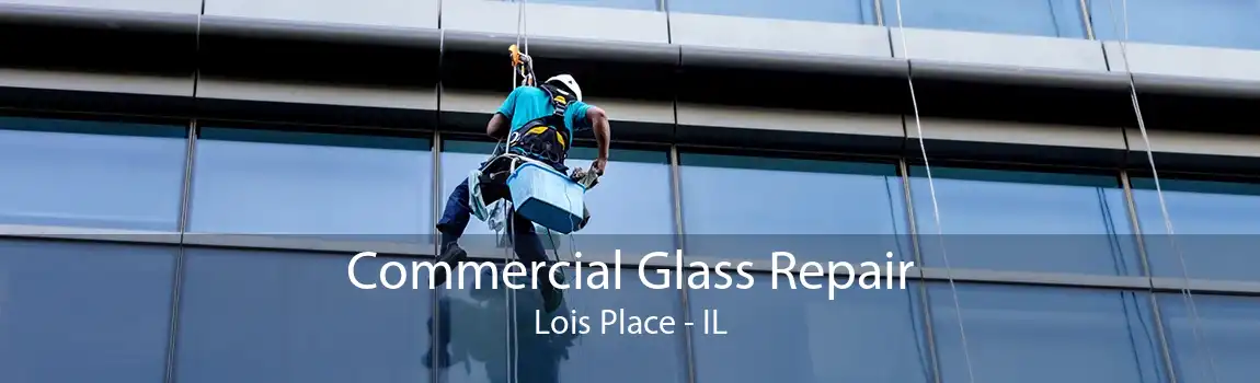 Commercial Glass Repair Lois Place - IL