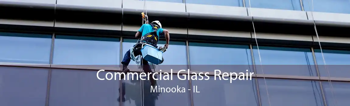 Commercial Glass Repair Minooka - IL