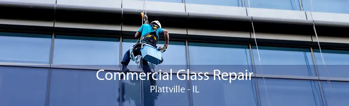 Commercial Glass Repair Plattville - IL