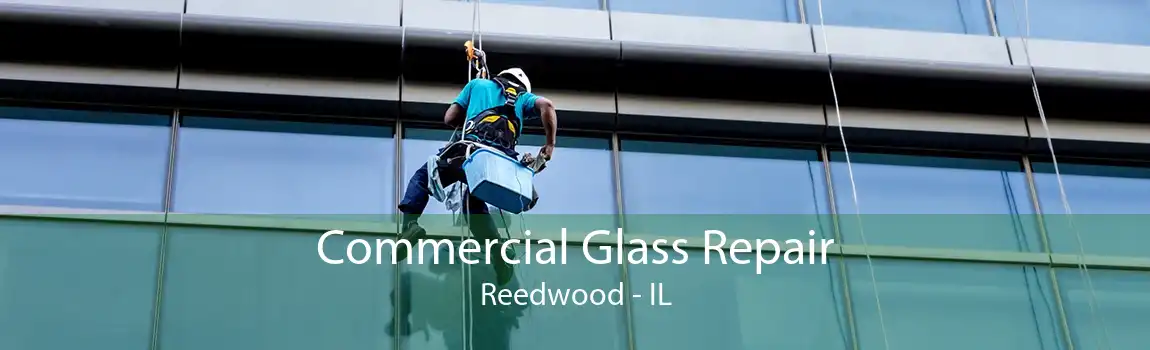 Commercial Glass Repair Reedwood - IL