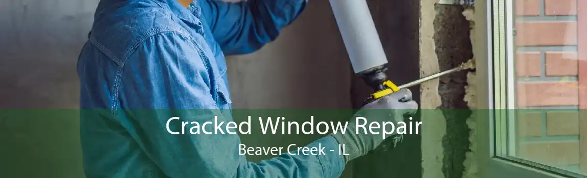 Cracked Window Repair Beaver Creek - IL