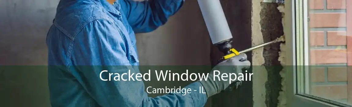 Cracked Window Repair Cambridge - IL