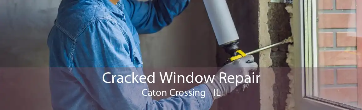 Cracked Window Repair Caton Crossing - IL