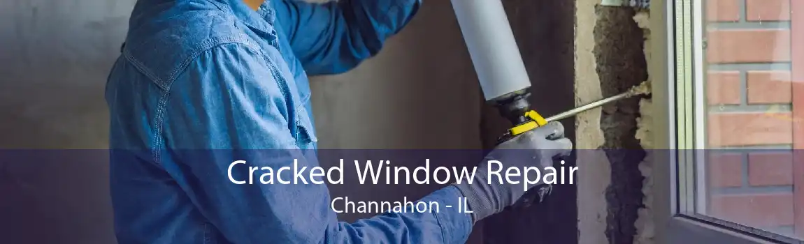 Cracked Window Repair Channahon - IL