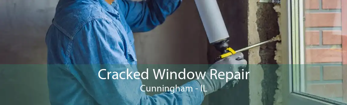 Cracked Window Repair Cunningham - IL