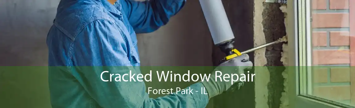 Cracked Window Repair Forest Park - IL