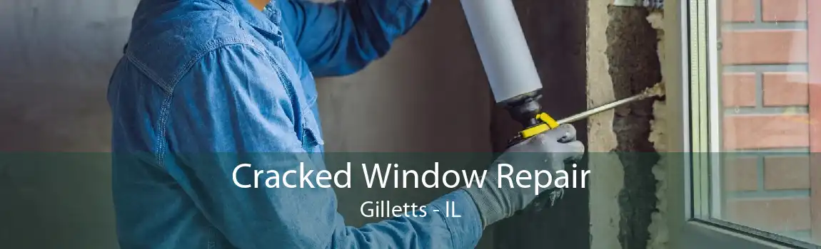 Cracked Window Repair Gilletts - IL