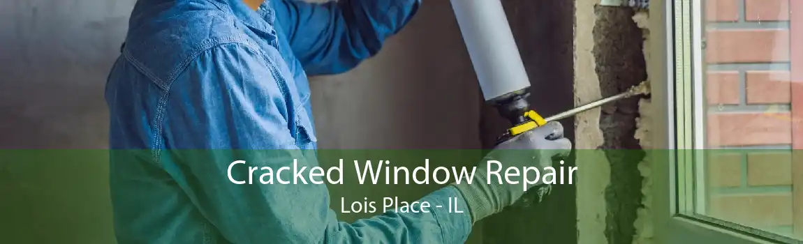 Cracked Window Repair Lois Place - IL