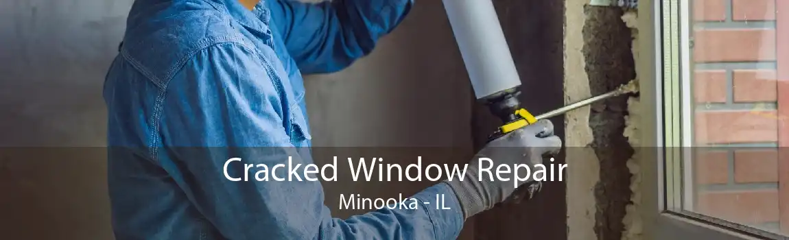 Cracked Window Repair Minooka - IL