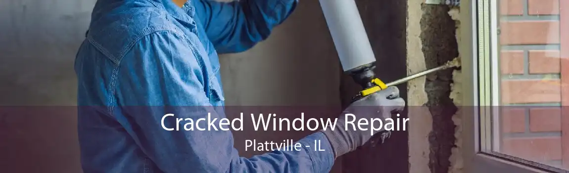 Cracked Window Repair Plattville - IL