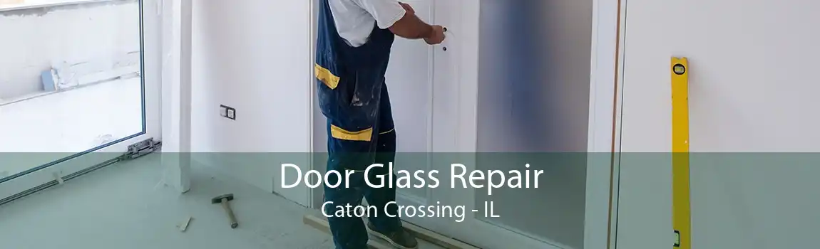 Door Glass Repair Caton Crossing - IL