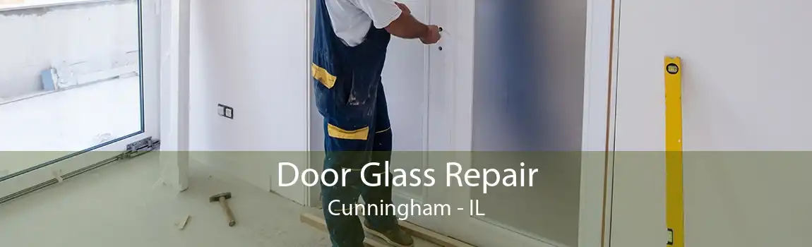 Door Glass Repair Cunningham - IL