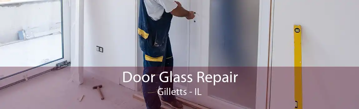 Door Glass Repair Gilletts - IL