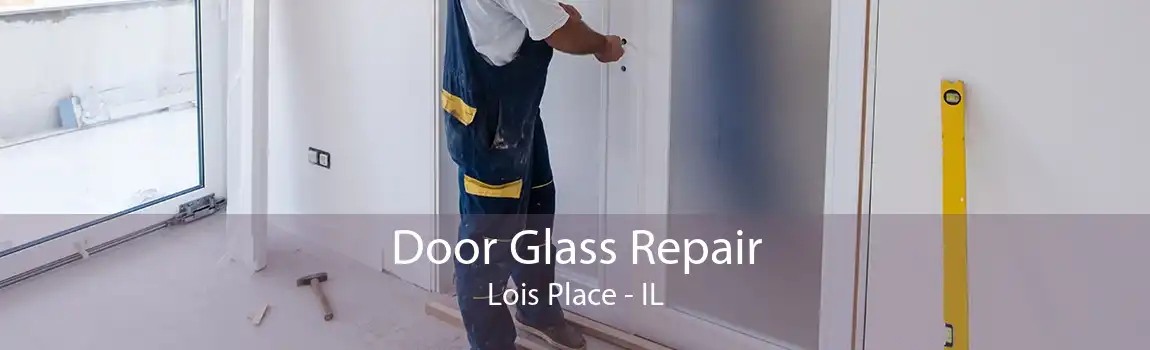 Door Glass Repair Lois Place - IL