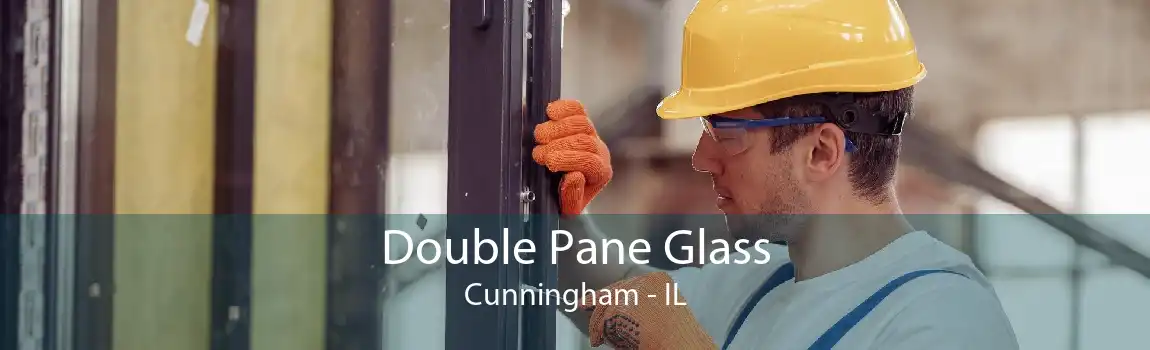 Double Pane Glass Cunningham - IL