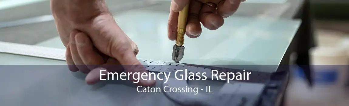 Emergency Glass Repair Caton Crossing - IL