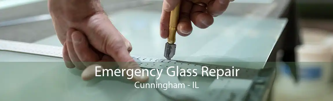 Emergency Glass Repair Cunningham - IL