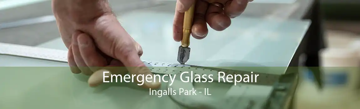 Emergency Glass Repair Ingalls Park - IL