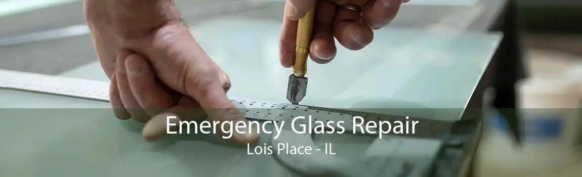 Emergency Glass Repair Lois Place - IL