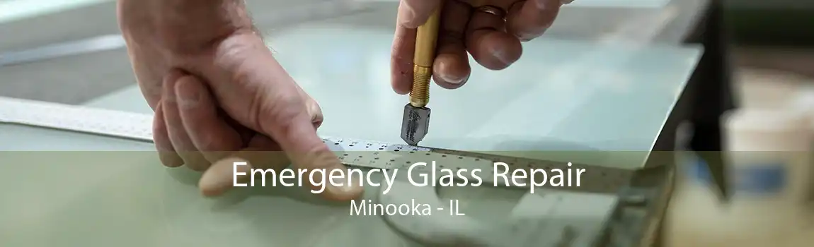 Emergency Glass Repair Minooka - IL