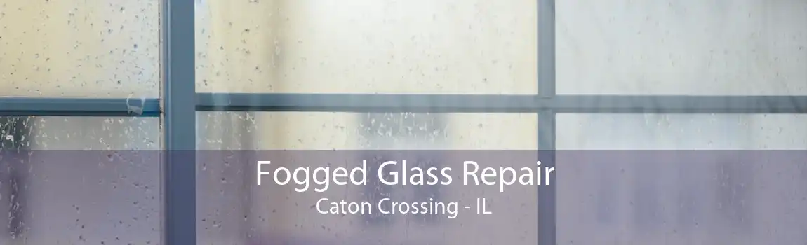 Fogged Glass Repair Caton Crossing - IL