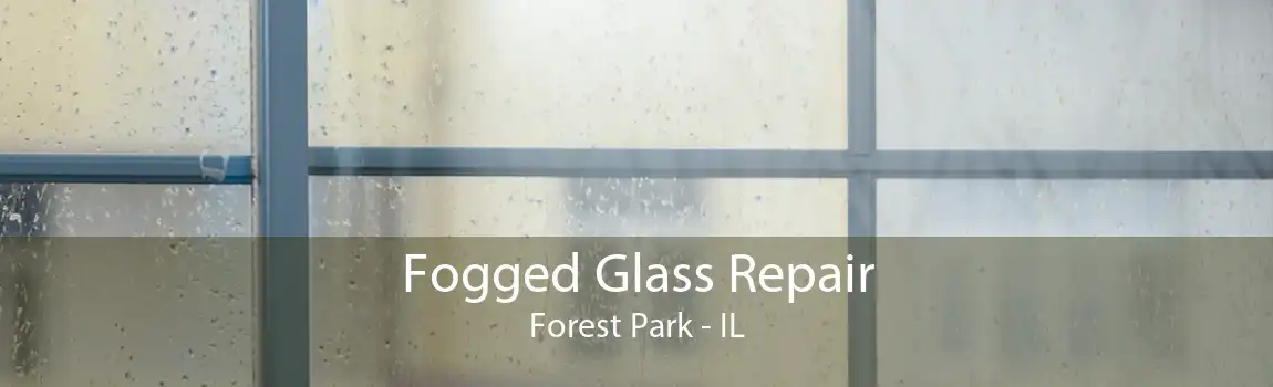 Fogged Glass Repair Forest Park - IL