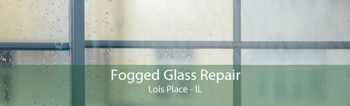 Fogged Glass Repair Lois Place - IL