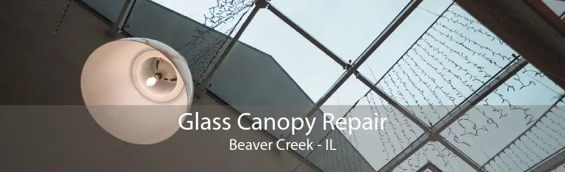 Glass Canopy Repair Beaver Creek - IL