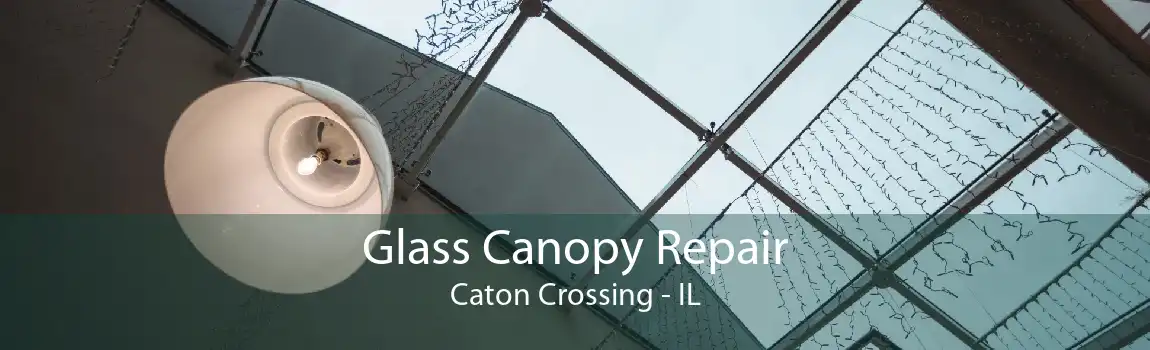 Glass Canopy Repair Caton Crossing - IL