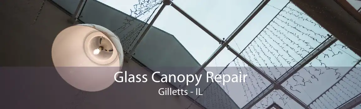 Glass Canopy Repair Gilletts - IL