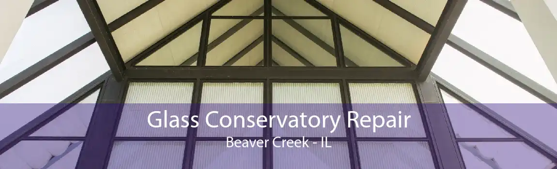 Glass Conservatory Repair Beaver Creek - IL