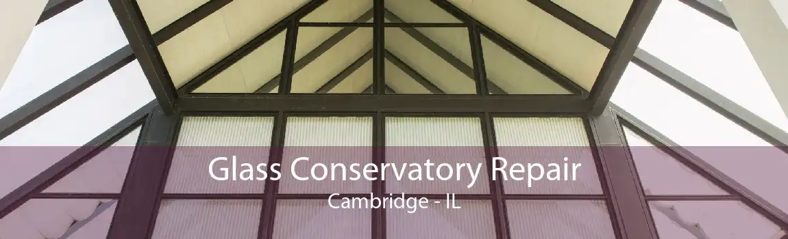 Glass Conservatory Repair Cambridge - IL