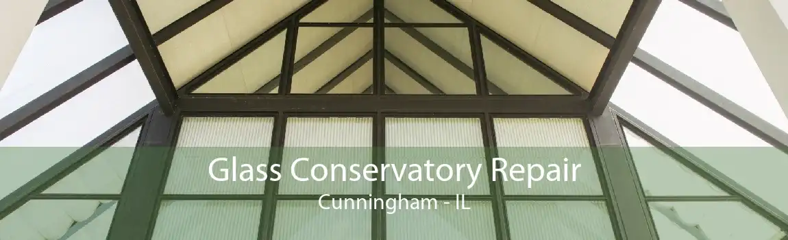 Glass Conservatory Repair Cunningham - IL