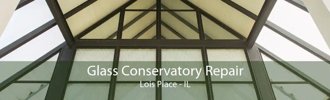 Glass Conservatory Repair Lois Place - IL