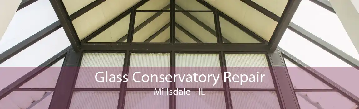 Glass Conservatory Repair Millsdale - IL