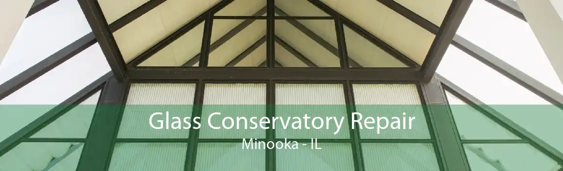 Glass Conservatory Repair Minooka - IL