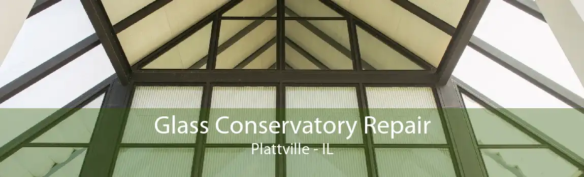 Glass Conservatory Repair Plattville - IL