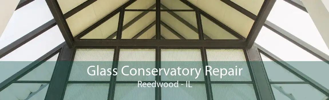 Glass Conservatory Repair Reedwood - IL