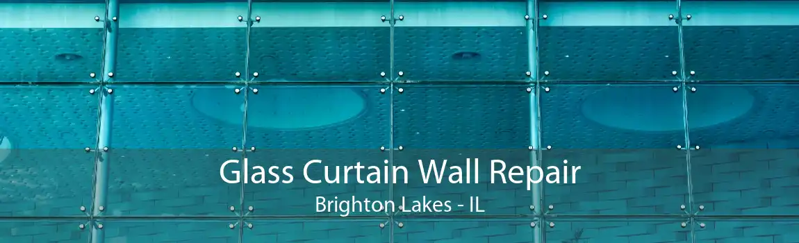 Glass Curtain Wall Repair Brighton Lakes - IL