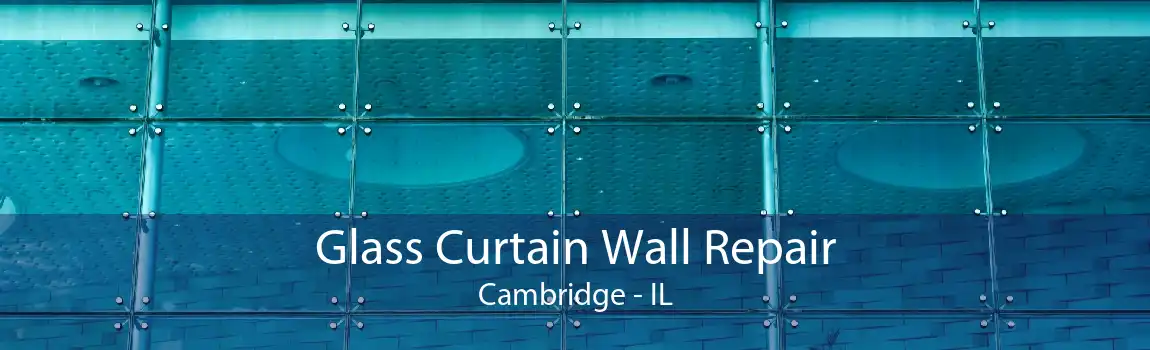 Glass Curtain Wall Repair Cambridge - IL