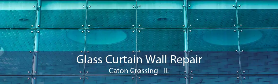 Glass Curtain Wall Repair Caton Crossing - IL