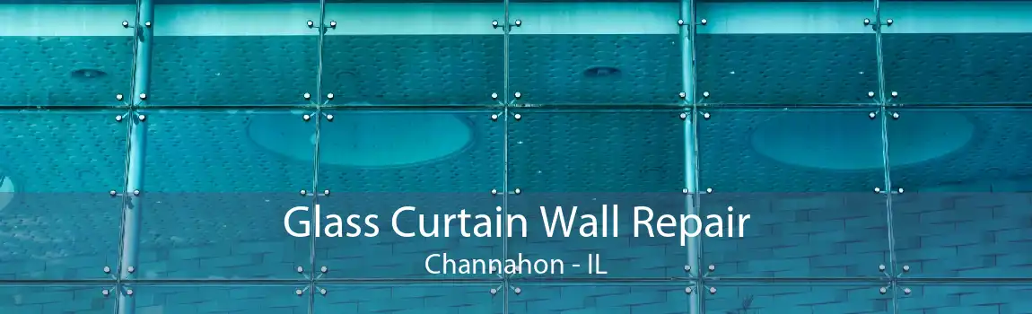 Glass Curtain Wall Repair Channahon - IL